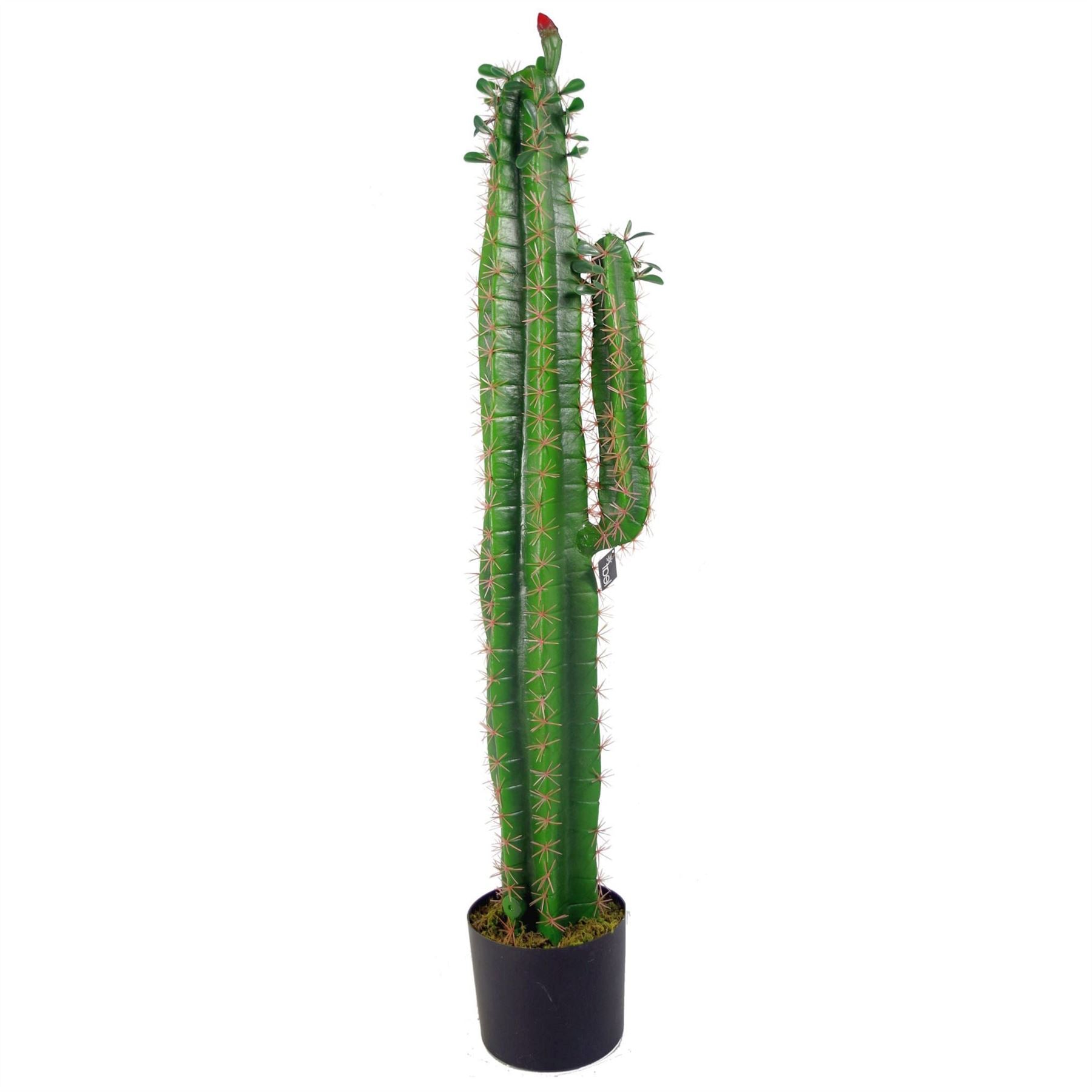 Artificial Cacti Cactus Plant 110cm Plants Plants-0